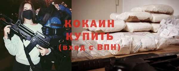 спайс Богданович
