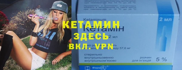 сатива Бородино