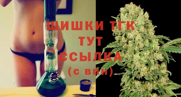 спайс Богданович