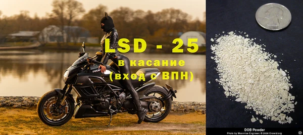 спайс Богданович