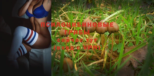 спайс Богданович