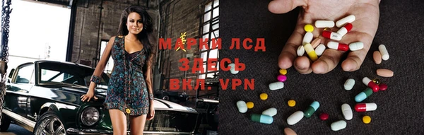 спайс Богданович
