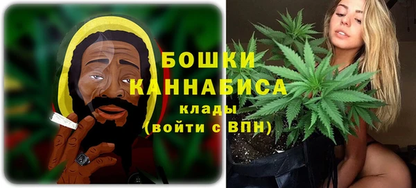 спайс Богданович