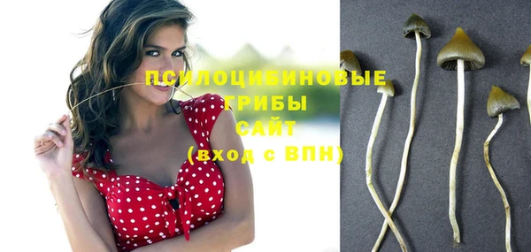 героин Богородицк