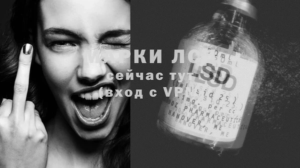 спайс Богданович